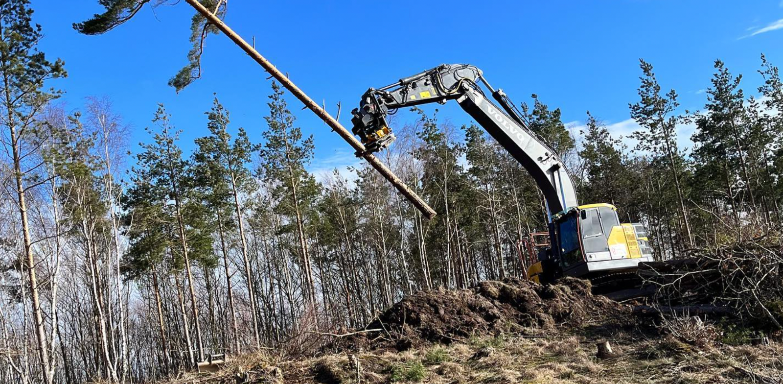 kranbil arbeten i skog